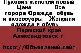 Пуховик женский новый › Цена ­ 2 600 - Все города Одежда, обувь и аксессуары » Женская одежда и обувь   . Пермский край,Александровск г.